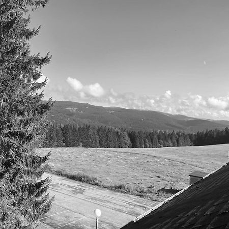 Au P'Tit Nid Douillet De Lea Lägenhet Muhlbach-sur-Munster Exteriör bild